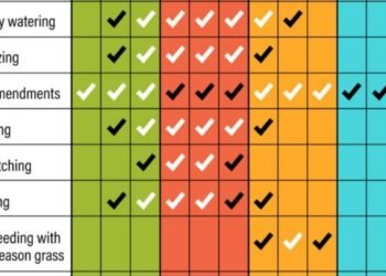 month by month lawn care calendar uk