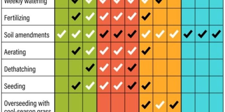 month by month lawn care calendar uk