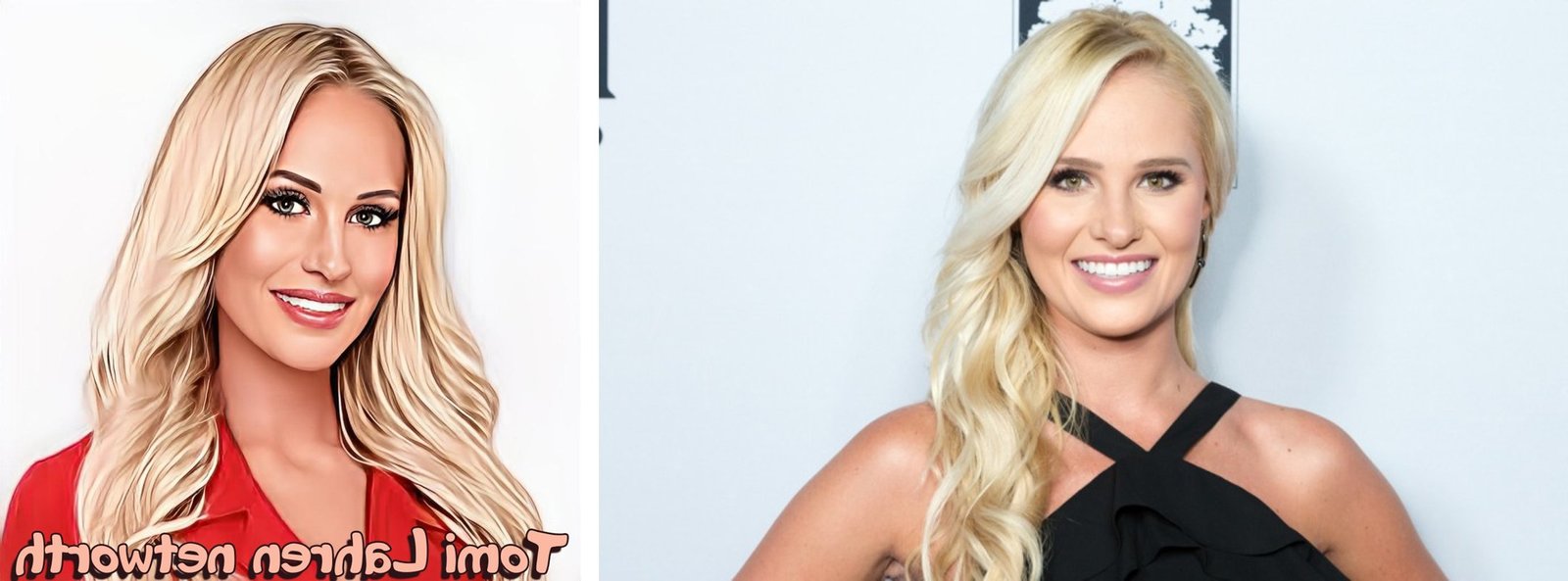 tomi lahren net worth Tomi Lahren Net Worth Breakdown