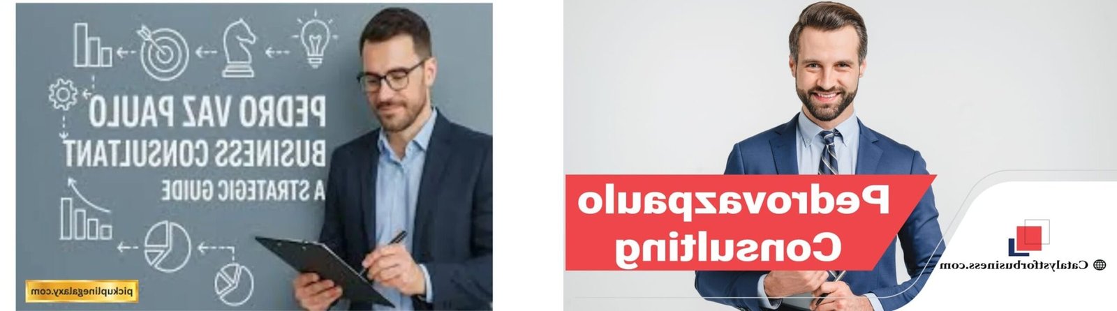 pedrovazpaulo operations consulting