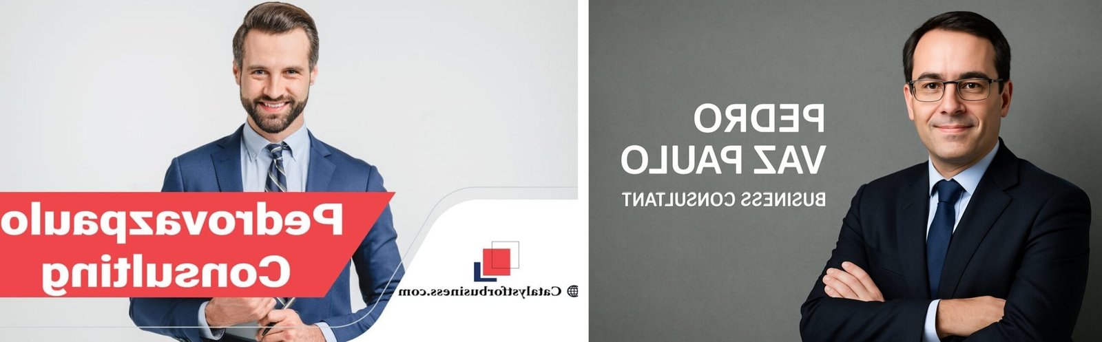 pedrovazpaulo operations consulting