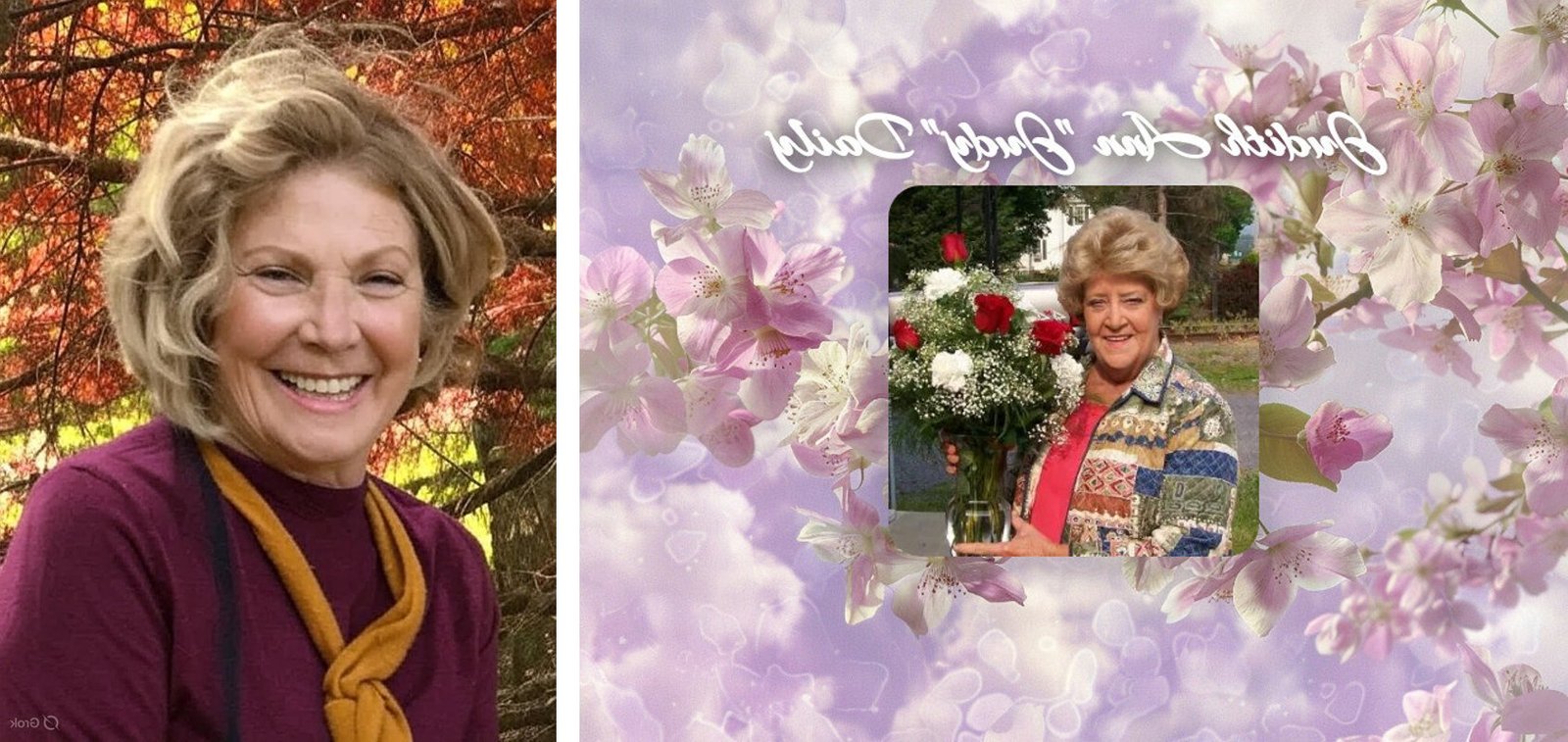 judith ann robertson Achievements of Judith Ann Robertson