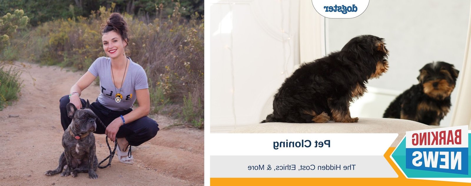 how much does a service dog cost