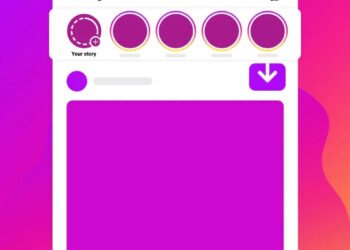 Instagram Story Downloader Link