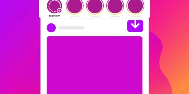 Instagram Story Downloader Link