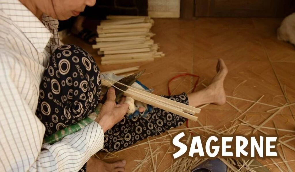 sagerne
