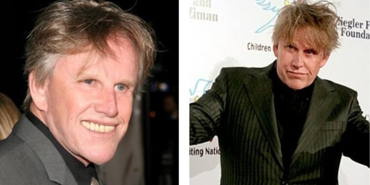 gary busey