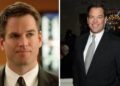 michael weatherly net worth