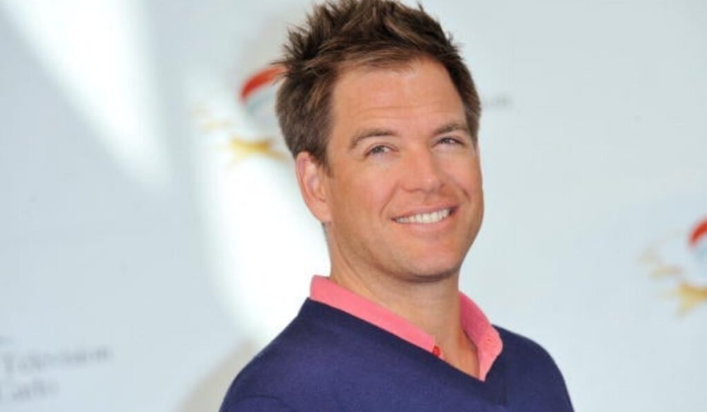 michael weatherly net worth