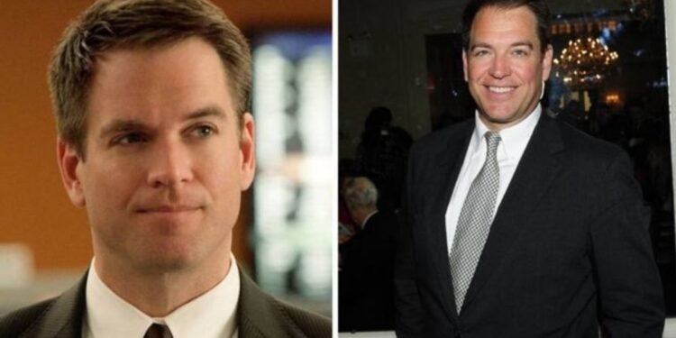 michael weatherly net worth