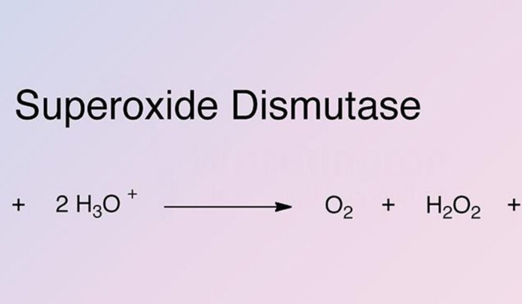 superoxide