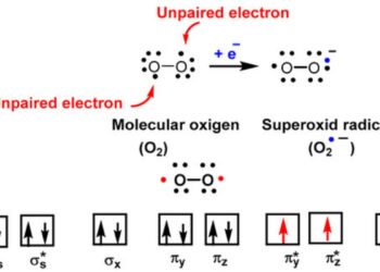 superoxide