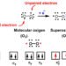 superoxide
