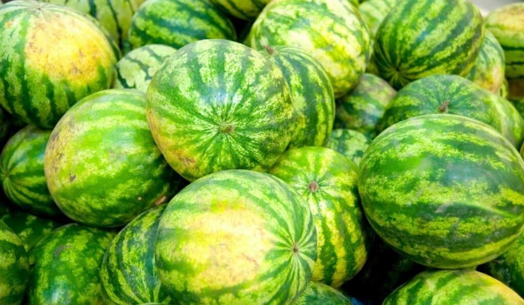 Choose Watermelon