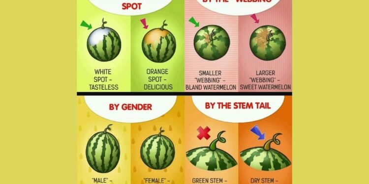 Choose Watermelon