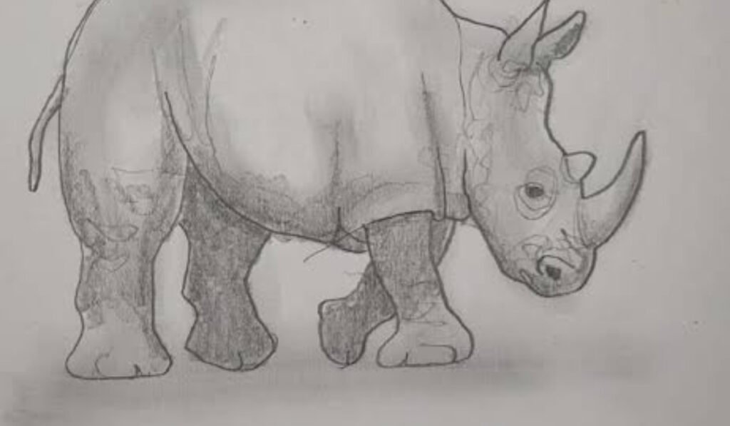 Draw a Rhino