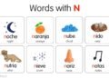 N Word in Spanish