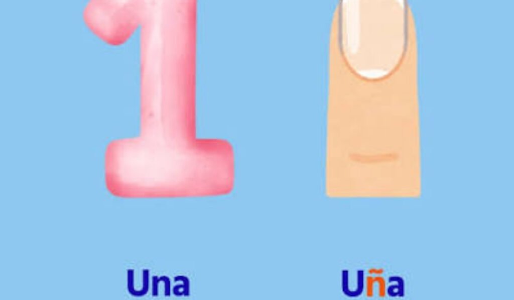 N Word in Spanish