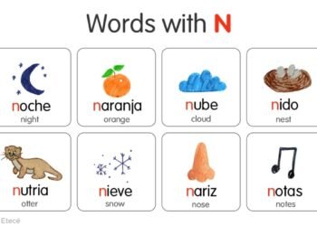 N Word in Spanish