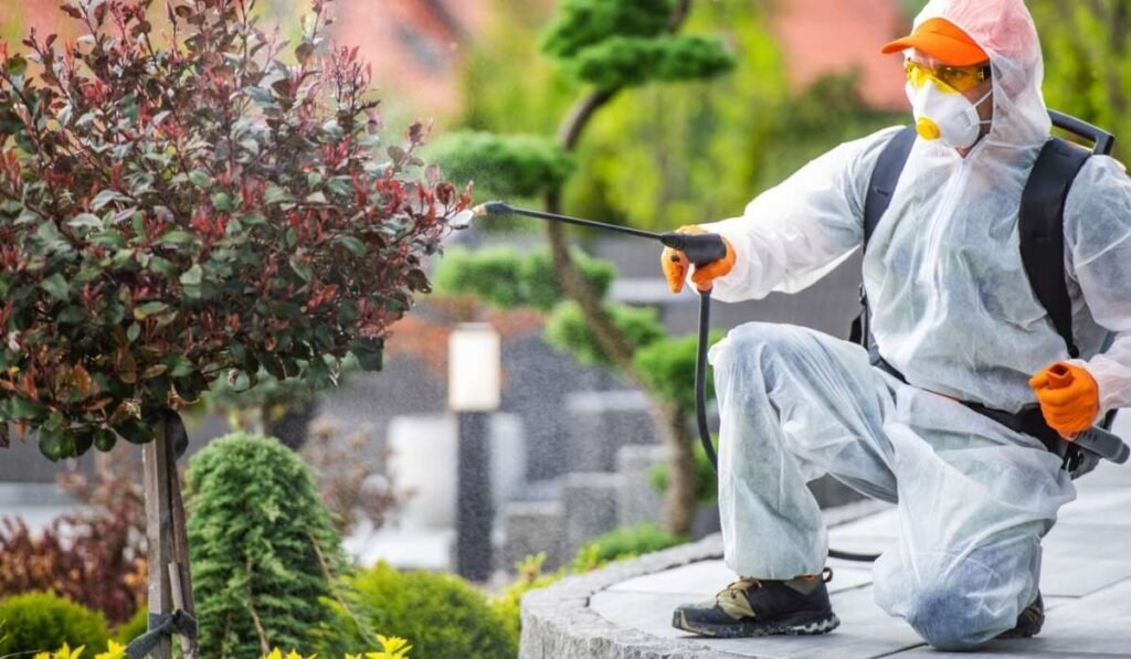 Top Pest Prevention