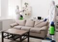 Top Pest Prevention