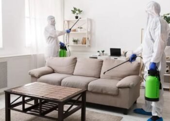 Top Pest Prevention